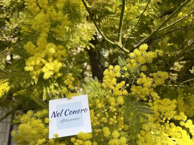 Majatalo Nel Conero Affittacamere