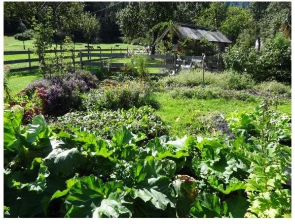 호텔 Lissis Bauernhof Appartments