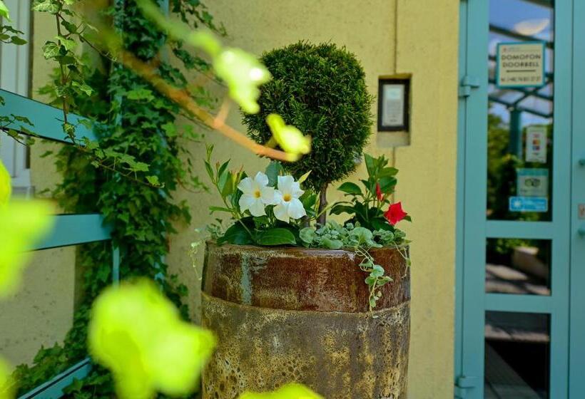 בית מלון כפרי Delta In