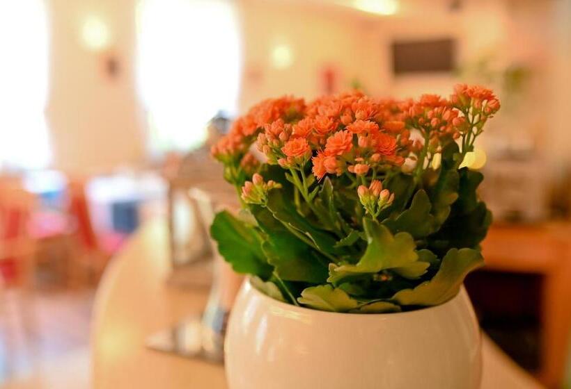 בית מלון כפרי Delta In