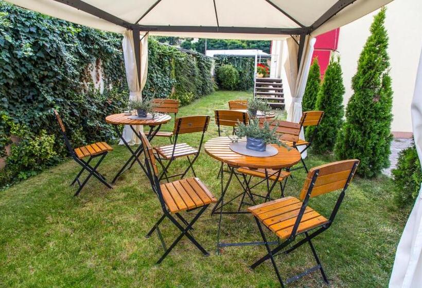 בית מלון כפרי Delta In