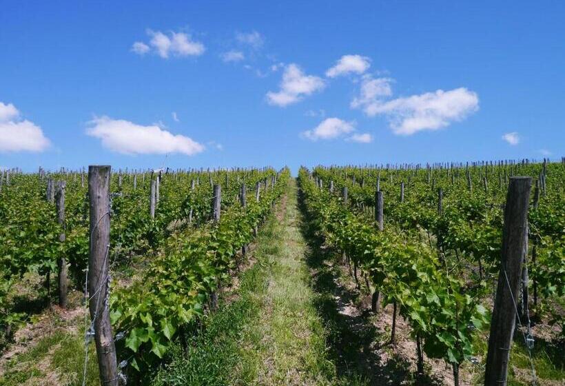 ホテル Dwór Sanna