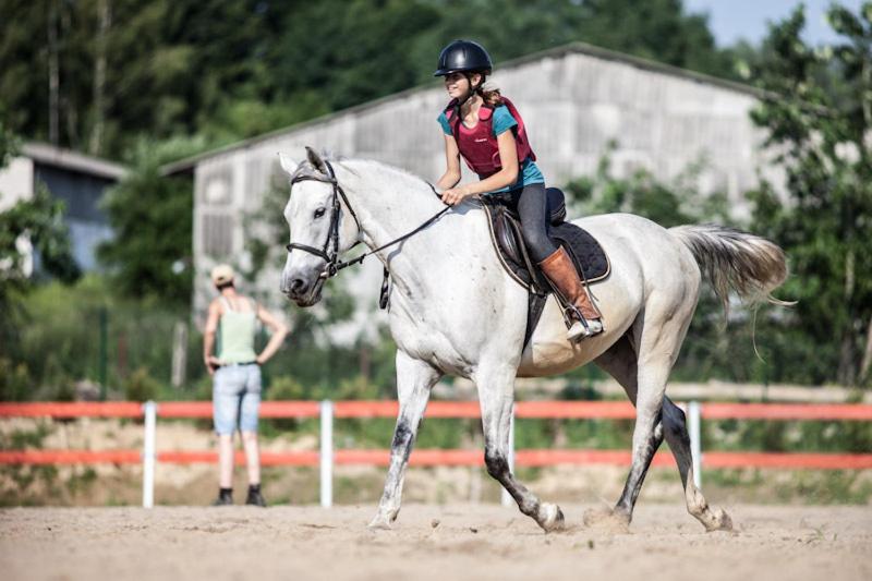 ホテル Dwór Sanna