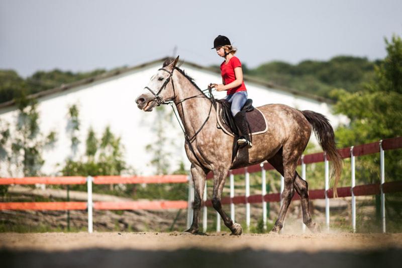 ホテル Dwór Sanna