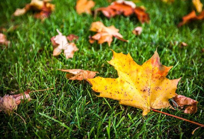 ホテル Dwór Sanna