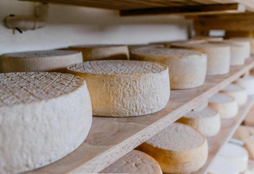 ホテル Dwór Sanna