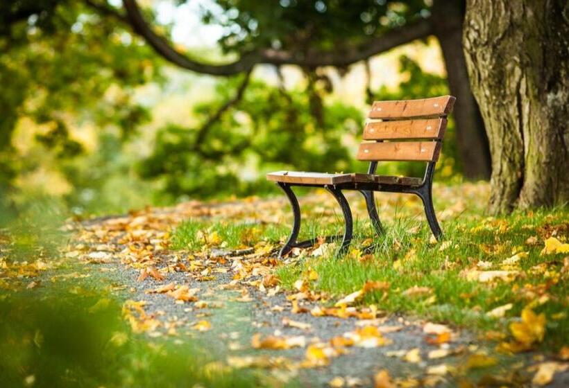 ホテル Dwór Sanna