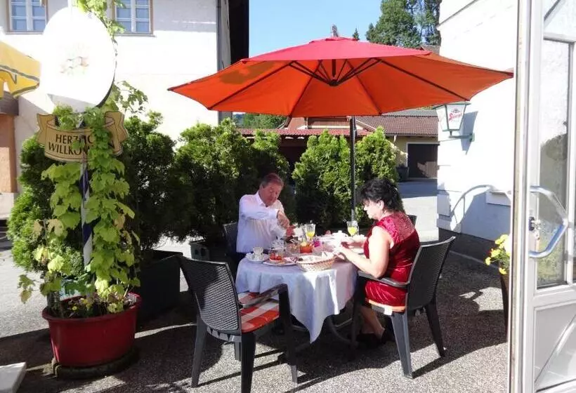 ホテル Frühstückspension Irmer
