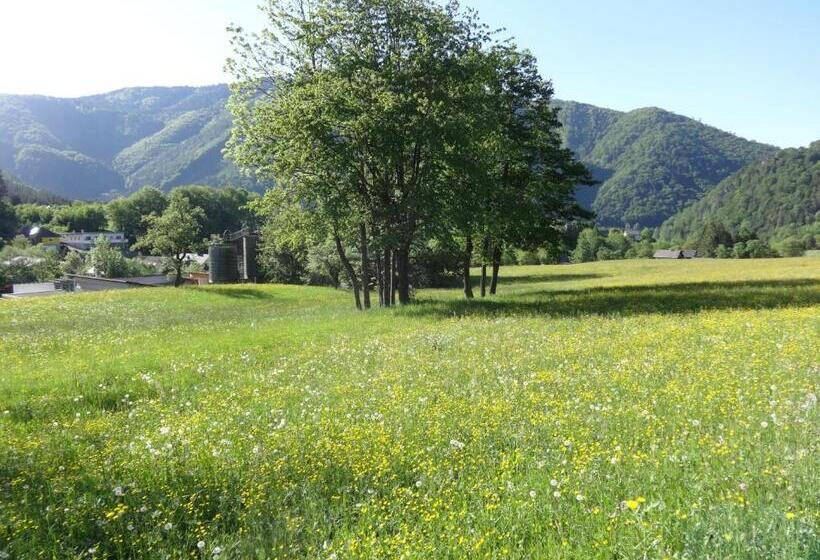 酒店 Frühstückspension Irmer