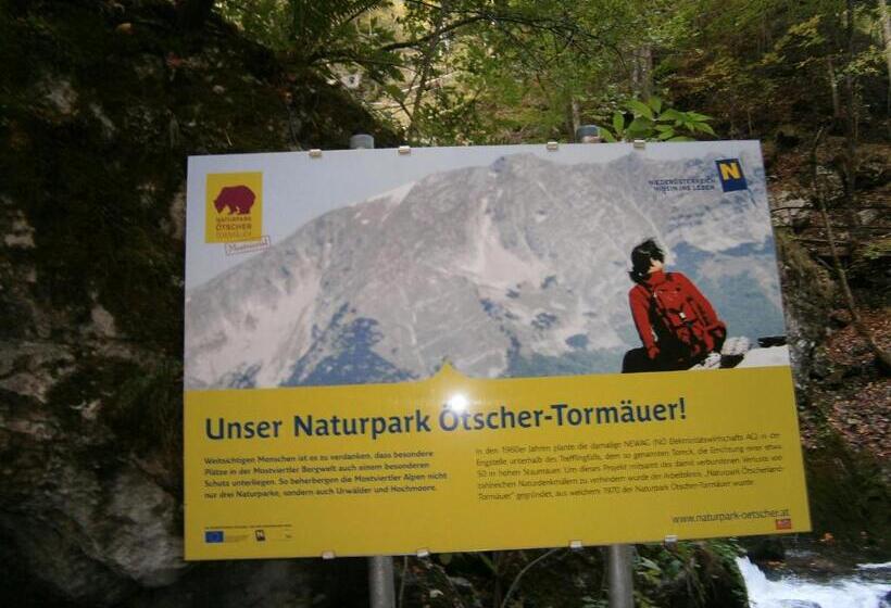 酒店 Frühstückspension Irmer