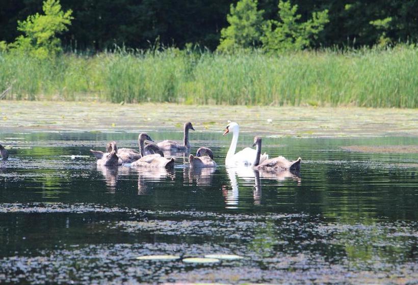 בית מלון כפרי Jan