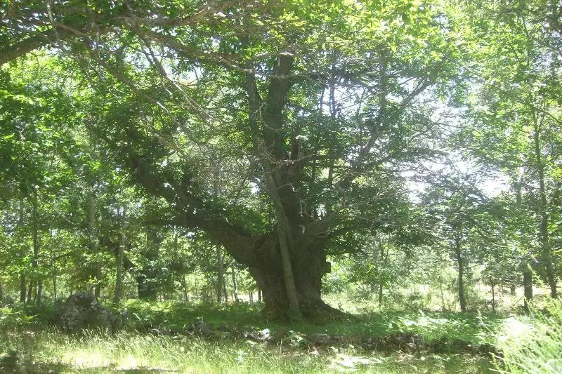 Hotelli La Coral De Sanabria