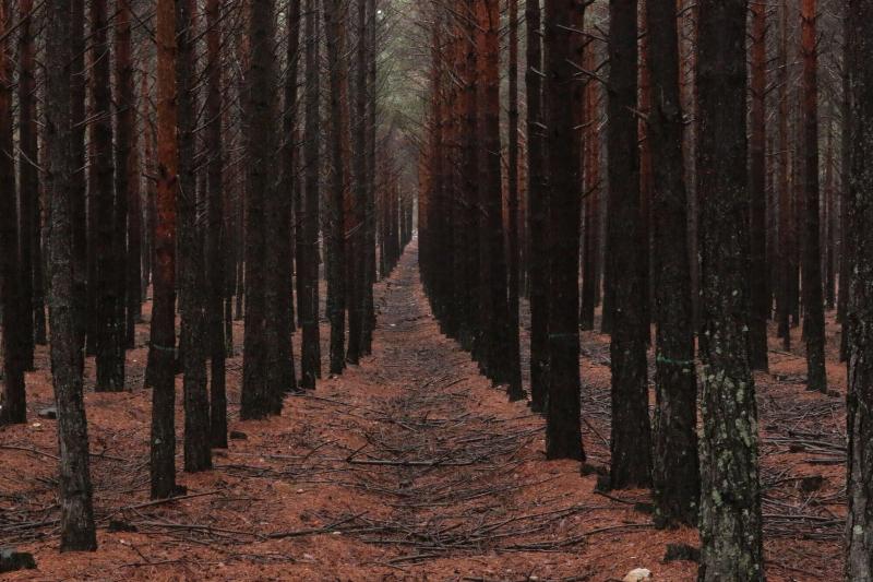 فندق La Coral De Sanabria
