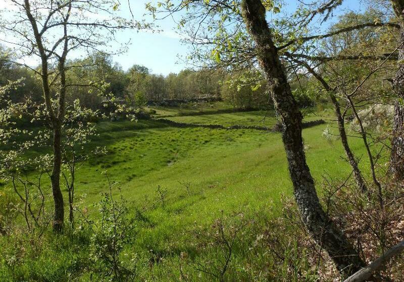 فندق La Coral De Sanabria
