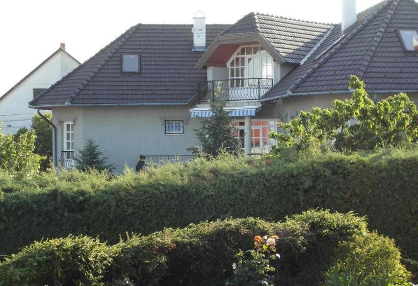 호텔 Lijoli Lounge Vendégház