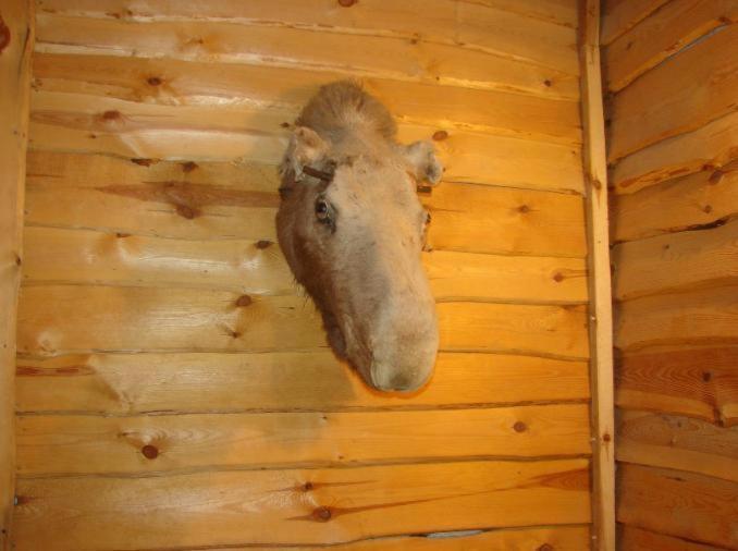 בית מלון כפרי Potargana Chałupa