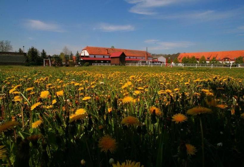 호텔 Stara Stajnia