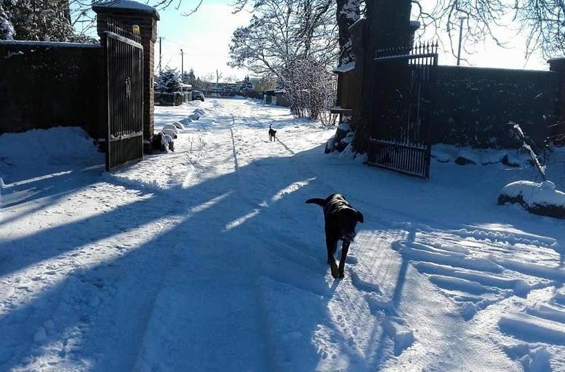 호텔 Stara Stajnia