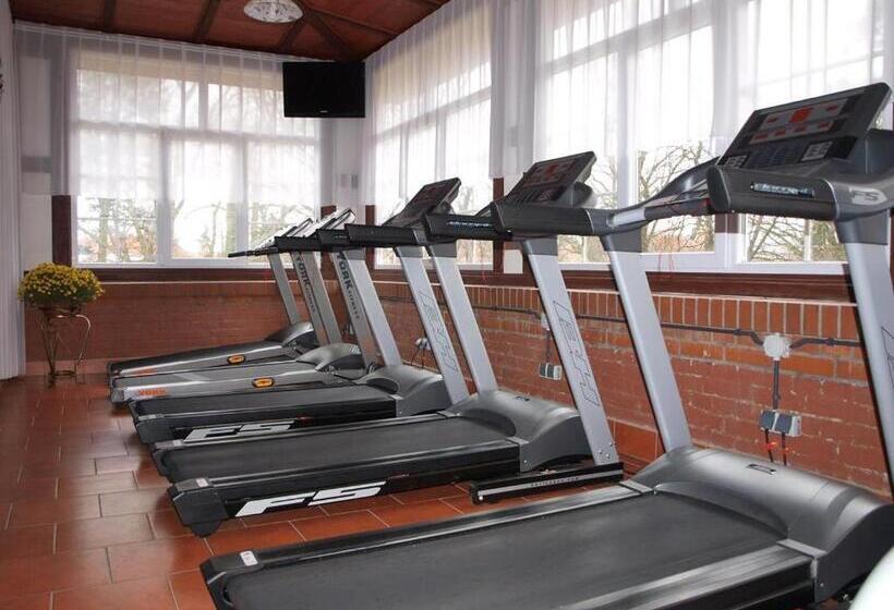 בית מלון כפרי Willa Park