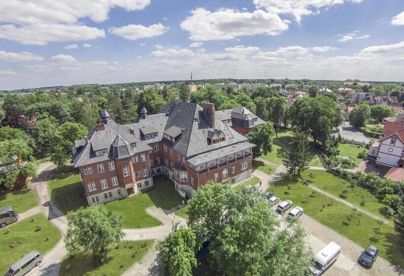 בית מלון כפרי Willa Park