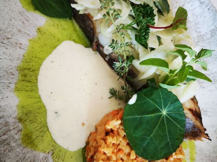 호텔 Zielona Weranda