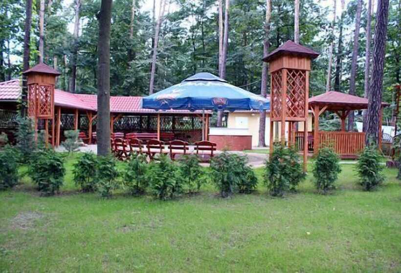 Отель Zielony & Ow Borowik & Pensjonat Manhattan Centrum Rekreacji I Wypoczynku Gastrotur