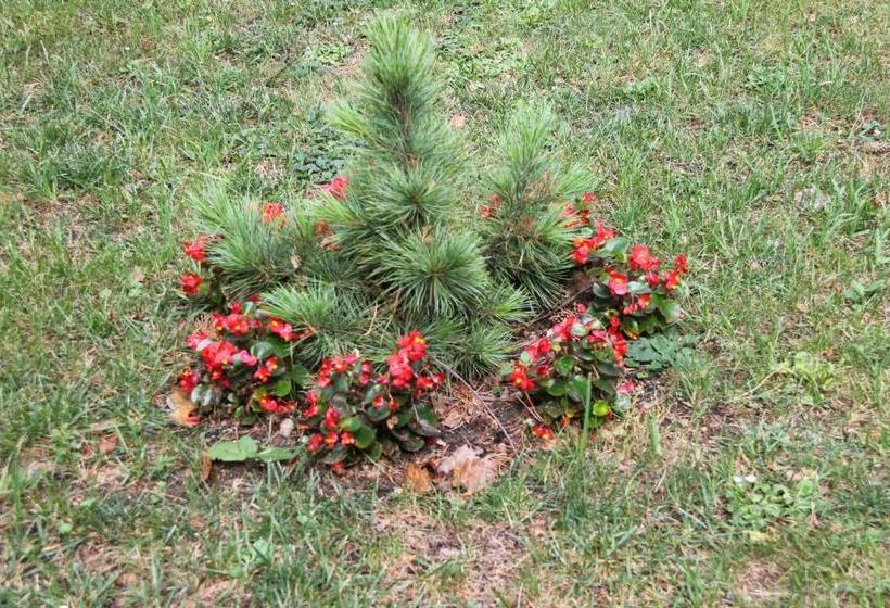 Отель Zielony & Ow Borowik & Pensjonat Manhattan Centrum Rekreacji I Wypoczynku Gastrotur