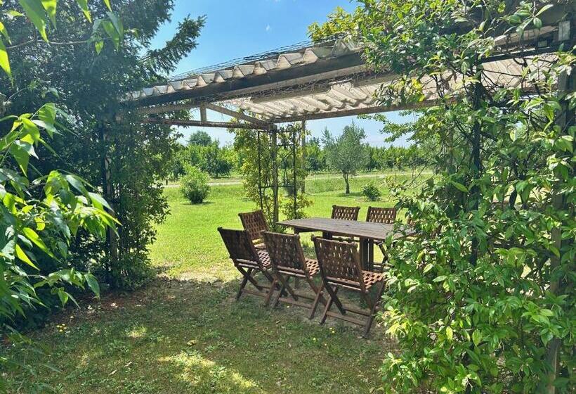 تختخواب و صبحانه La Casa Delle Querce