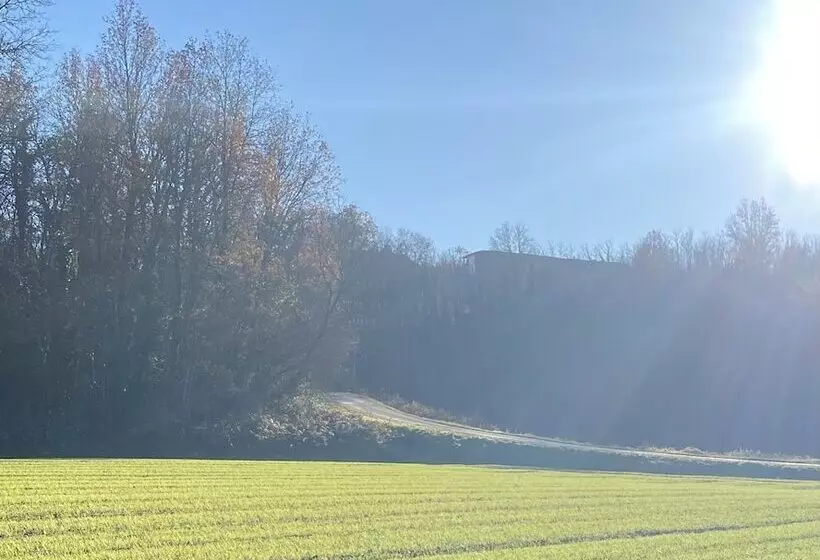 ベッドアンドブレックファースト Lusi è In Collina