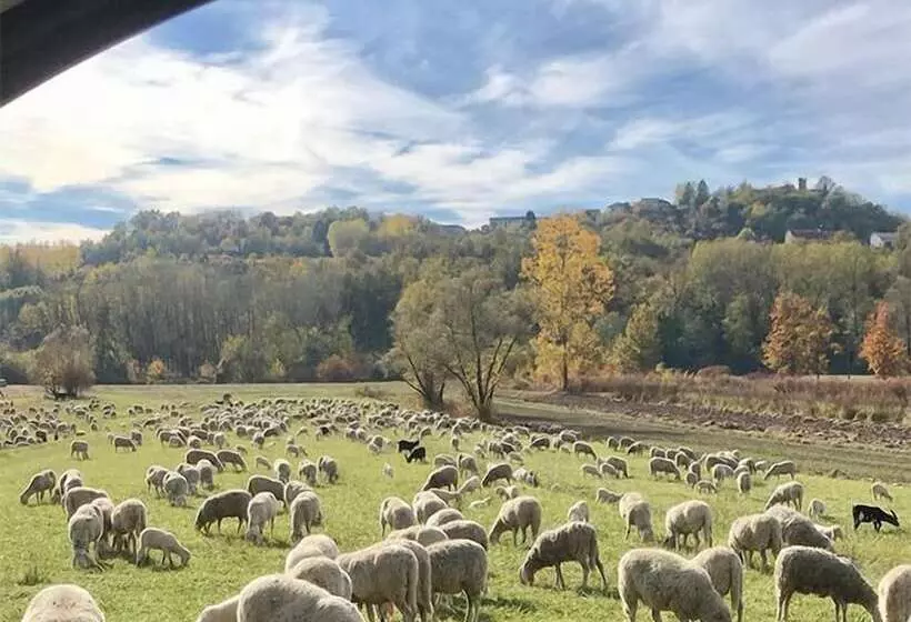 ベッドアンドブレックファースト Lusi è In Collina