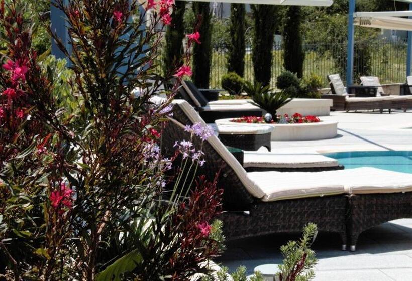 ホテル Alexander Mountain Resort