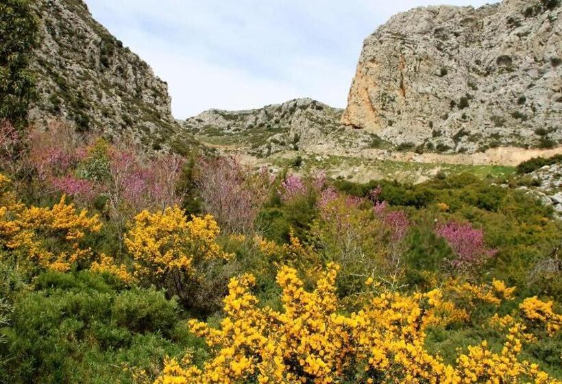 ホテル Alexander Mountain Resort