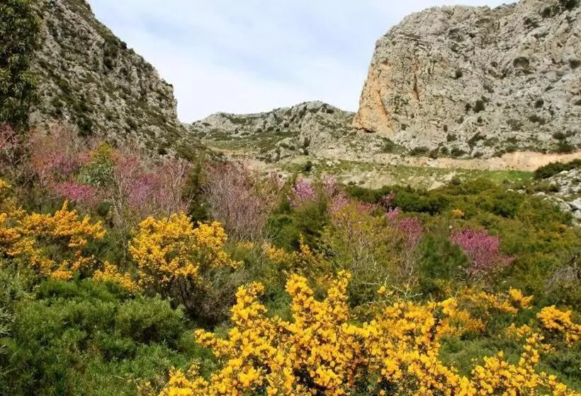 Hotelli Alexander Mountain Resort