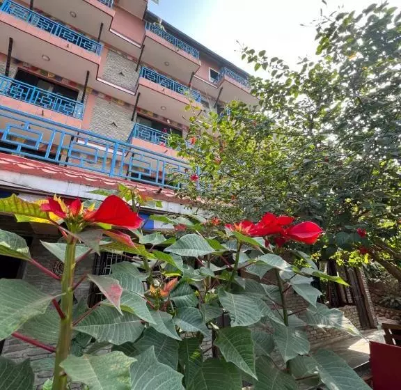 هتل Little Pilgrim Family Lodge
