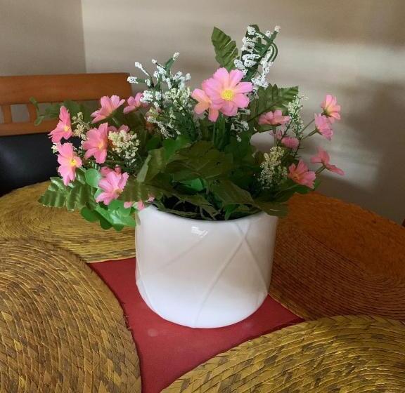 پانسیون Hostal Casa Antigua Santa Ana