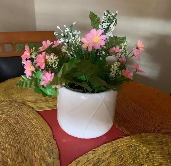 پانسیون Hostal Casa Antigua Santa Ana