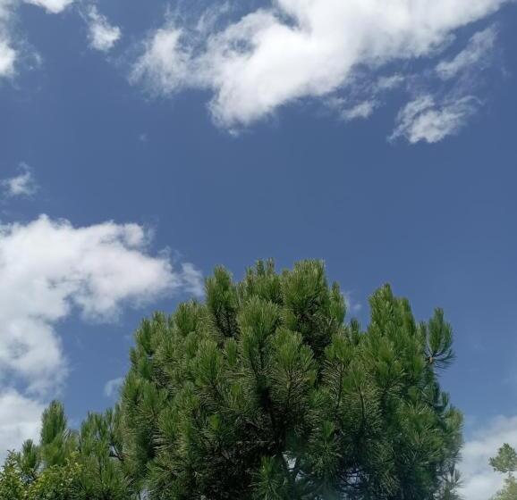 Pensionat Nature Hostel