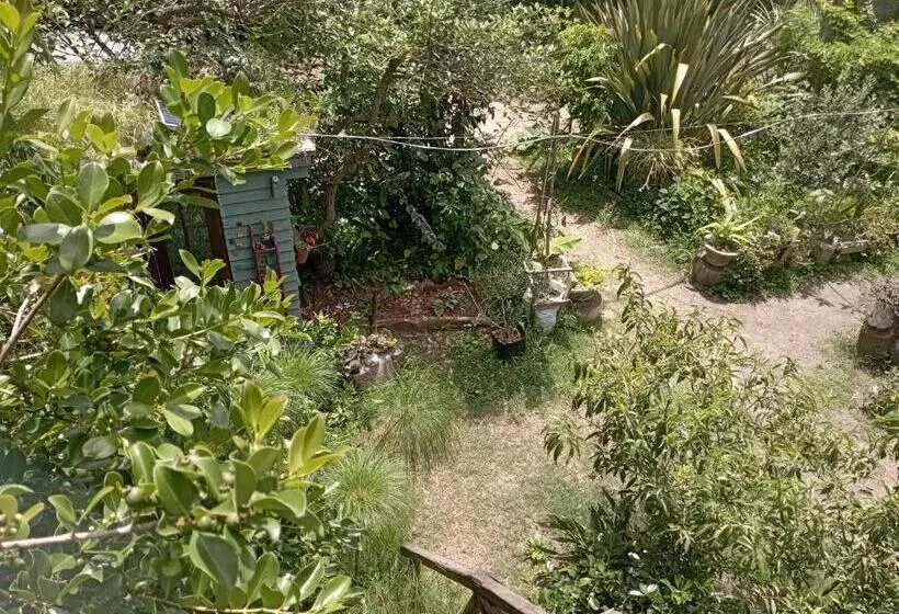 ペンション Nature Hostel