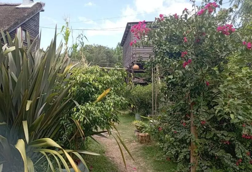 ペンション Nature Hostel