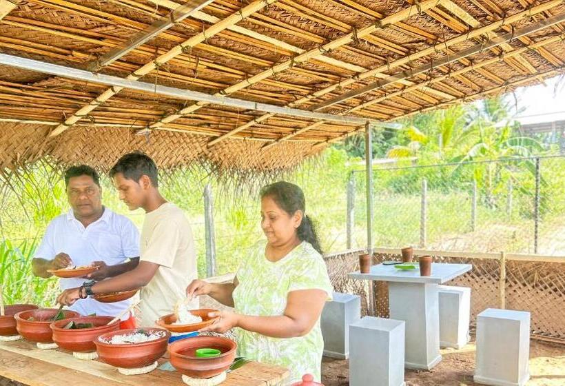 پانسیون New Haven Polonnaruwa
