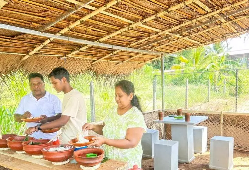 پانسیون New Haven Polonnaruwa
