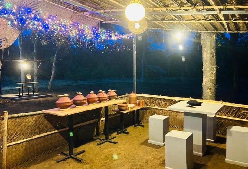 پانسیون New Haven Polonnaruwa