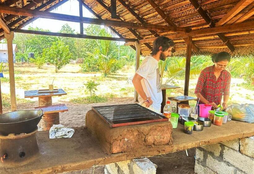 پانسیون New Haven Polonnaruwa