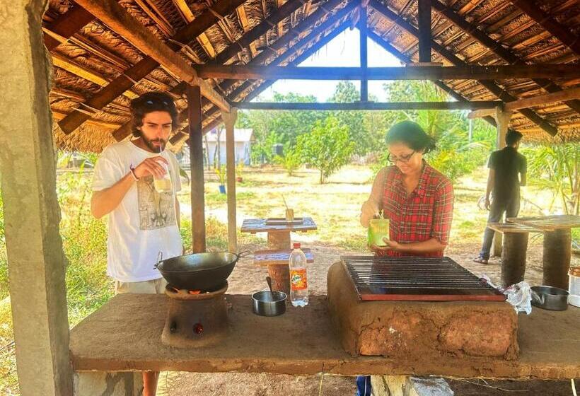 پانسیون New Haven Polonnaruwa