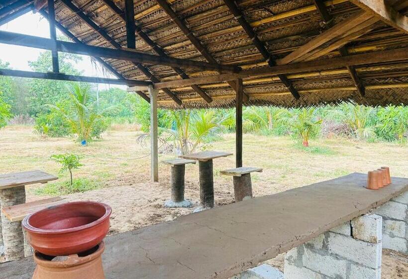 پانسیون New Haven Polonnaruwa