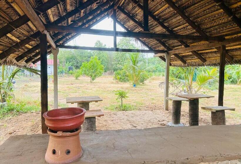 پانسیون New Haven Polonnaruwa