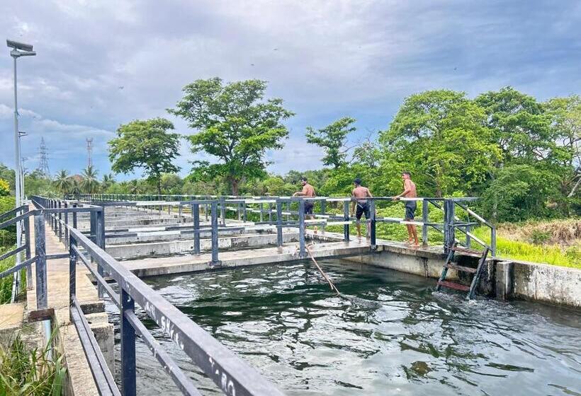 پانسیون New Haven Polonnaruwa