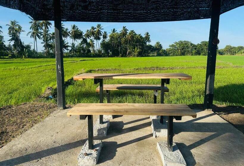 پانسیون New Haven Polonnaruwa