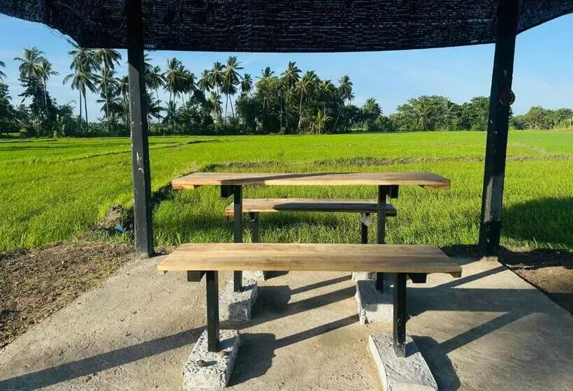 پانسیون New Haven Polonnaruwa