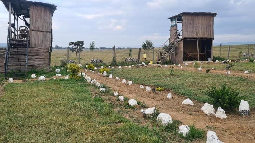 استراحتگاه Mambo Game View